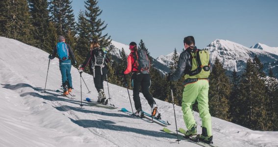 Vier Personen auf Skitour