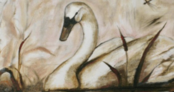 Schwan mit Acrylfarben gemalt