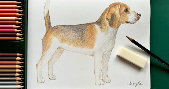 Gemalter Hund