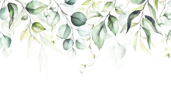 Aquarell Blätter in grün hängen runter