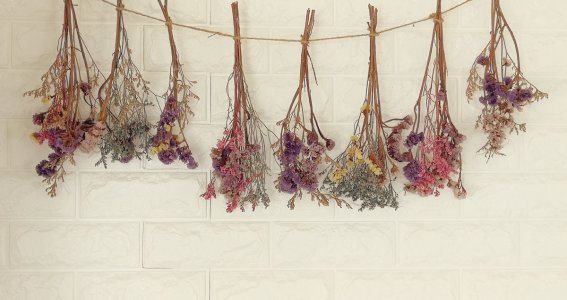 getrocknete Blumen hängen auf einer Schnur