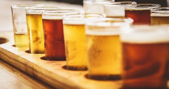 Sechs Gläser Bier gereiht in einem Serviertablett