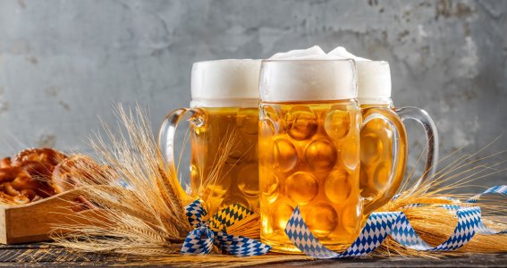 Drei große helle Gläser Bier inmitten Tischdekoration und Brezeln