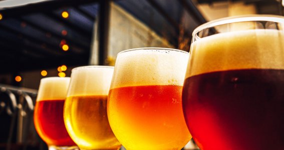 Vier Gläser unterschiedlicher Biersorten präsentiert