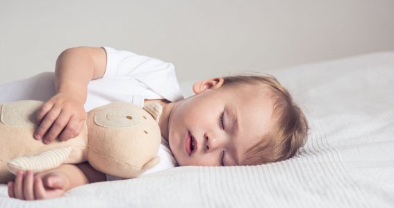 Baby schläft im Bett mit Kuscheltier. 