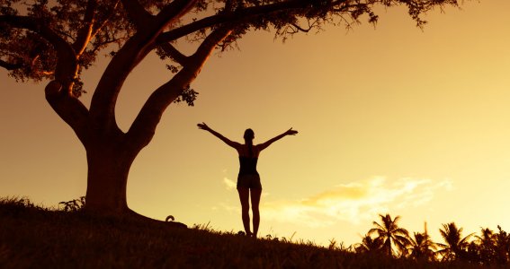 Eine Frau steht mit hoch gestreckten Armen neben einem Baum und sieht dem Sonnenuntergang entgegen
