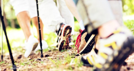 Schuhe von Personen die sich in der Natur bewegen.