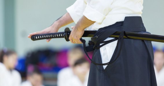 Iaido Schwertkampf für Erwachsene 