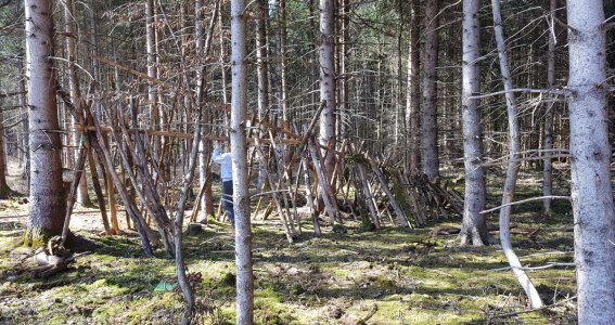 Kinder draußen in der Natur