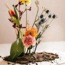 Ein Arrangement von Trockenblumen auf einer Holzplatte mit Erde