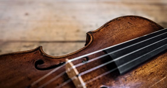 Bild einer Fiddle