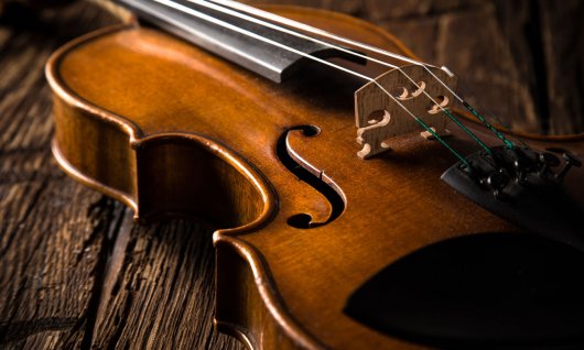 Fiddle liegt auf dem Tisch