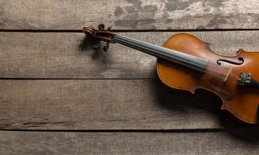 Fiddle liegt auf dem Boden