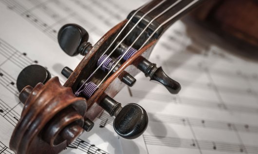 Online Fiddle lernen für Kinder Fiddle liegt auf Notenblättern