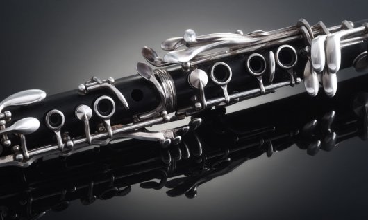 Bildausschnitt einer Klarinette