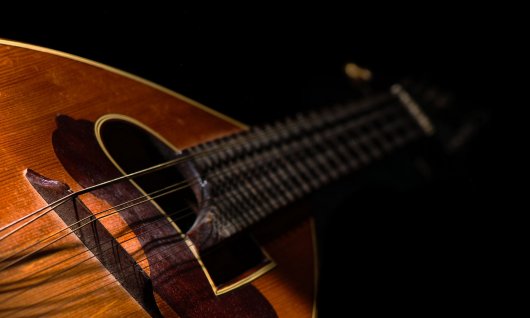 Bild einer Mandoline