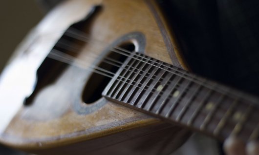 Bild der Mandoline