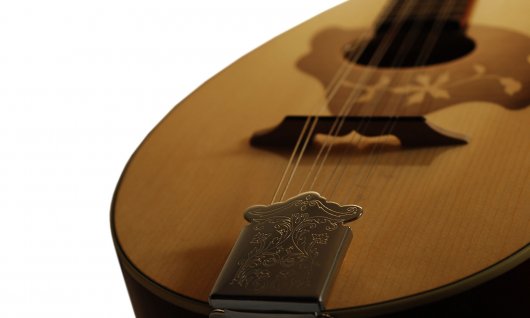 Online Mandoline lernen für Jugendliche Mandolinenbild