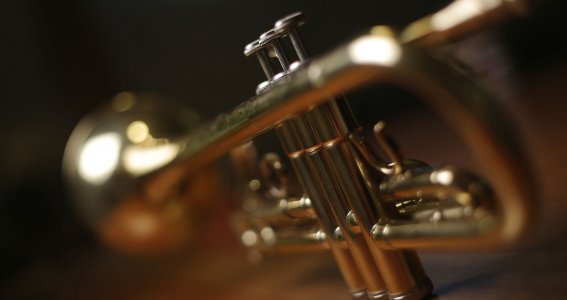 Bild einer goldenen Trompete