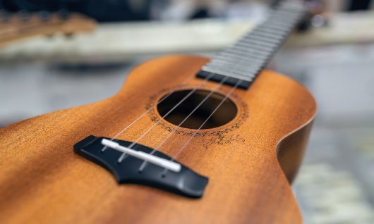 Ukulelenunterricht in München Liegende Ukulele