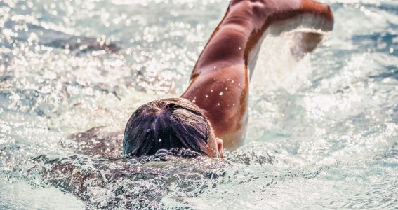 Kraulschwimmen lernen im Schwimmkurs