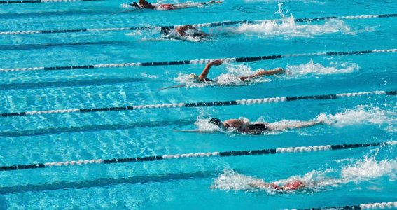 Brustschwimmen und Kraulschwimmen lernen im Schwimmkurs