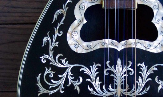Bouzouki spielen lernen für Erwachsene in München Sehr schöne Bouzouki