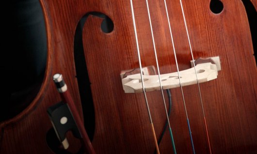 Kontrabassunterricht für Erwachsene in München Kontrabass spielen üben