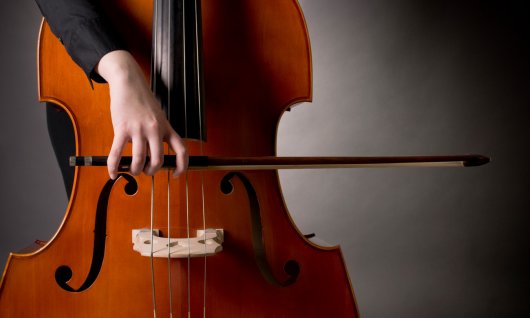 Kontrabassunterricht in München Kontrabass spielen lernen