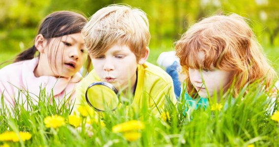 Kinder untersuchen das Gras mit einer Lupe