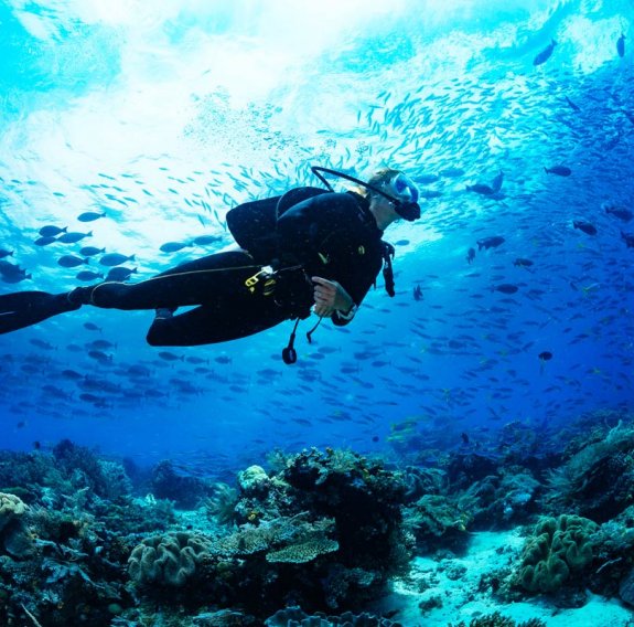 Ein Taucher mit faszinierender Unterwasserwelt, Fischen und Korallen 