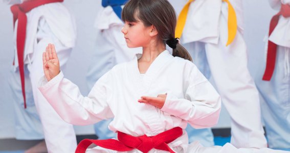 KidsKwonDo (ab rot) | Kinder 7-9 Jahre | Obersendling