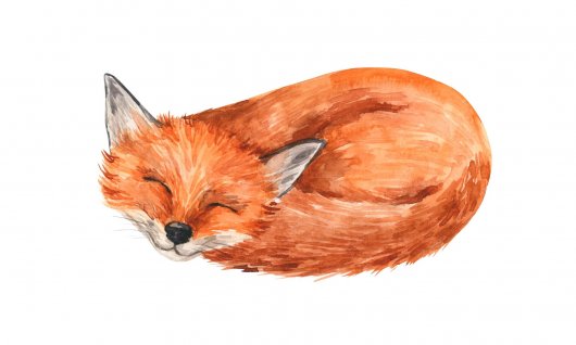 Online | Videokurs: Kreativ-Abenteuer Herr Rumpelpumpel | Kinder 6-10 Jahre