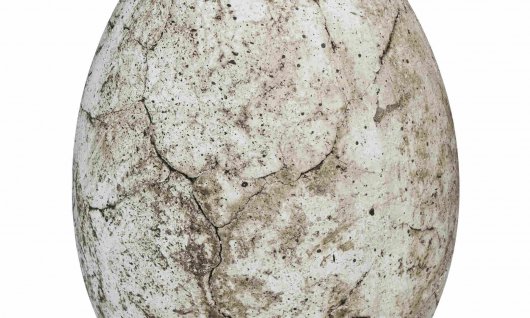 Online | Videokurs: Kreativ-Abenteuer Das Riesen-Ei | Kinder 6-10 Jahre