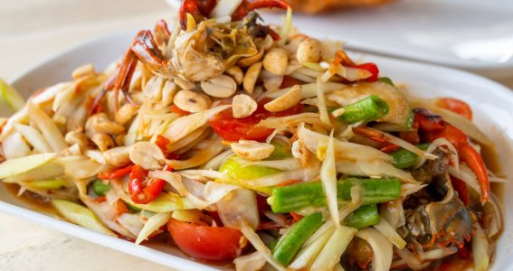 Thailändische Küche vegan | Erwachsene | Sülz