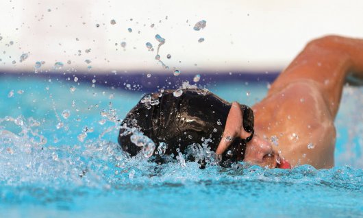 Schwimmcoaching: 2 Tage Basic Workshop | Erwachsene | München