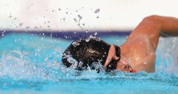 Schwimmcoaching: 2 Tage Basic Workshop | Erwachsene | München