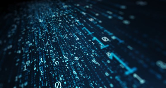 Online |  Python Basics I | Erwachsene