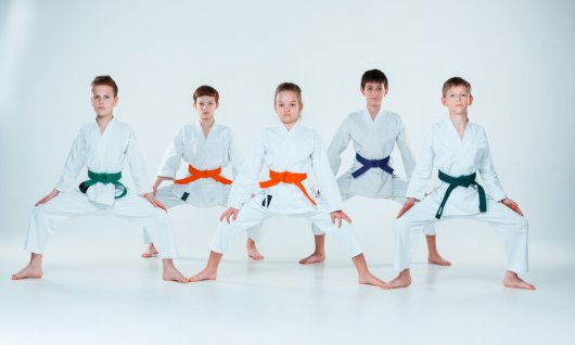 Aikido | Kinder von 6-12 Jahre | Lechhausen