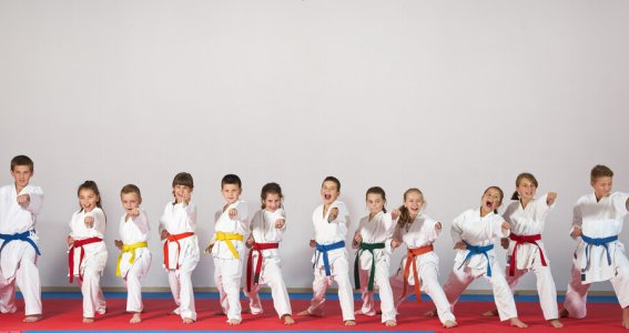 Karate | Kinder von 6-12 Jahre | Lechhausen