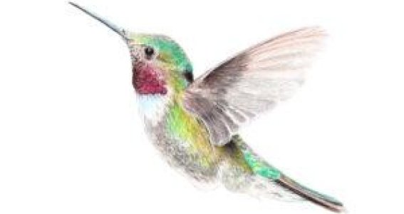 Wochenend-Workshop: Fliegende Schmuckstücke | Kinder & Jugendliche 8-17 Jahre | Haidhausen