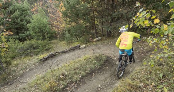 MTB Fit on Bike – Trail (Level3) | Erwachsene | Deuringen