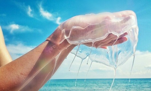 Smartphone Fotografie | Erwachsene | Deutz