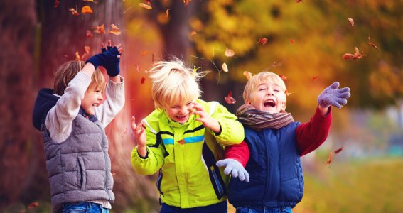 Ferienkurs: Hallo Herbst | Kinder 5-10 Jahre | Frechen-Königsdorf