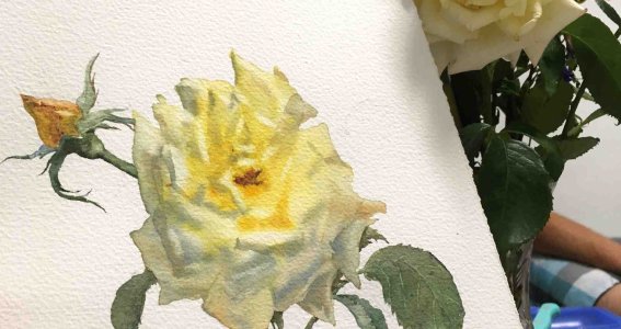Aquarellkurs | ERWACHSENE | Neuhausen-Nymphenburg