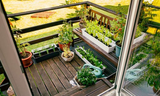 Dein Bio-Balkon Starterguide | ERWACHSENE | Video