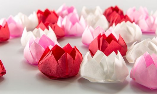 Origami Kurs: Falte Papierblume | Erwachsene | Online Origami Kurs: Falte Papierblume | Erwachsene | Online