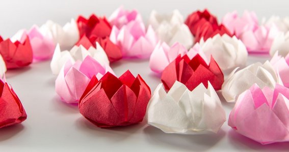 Origami Kurs: Falte Papierblume | Erwachsene | Online