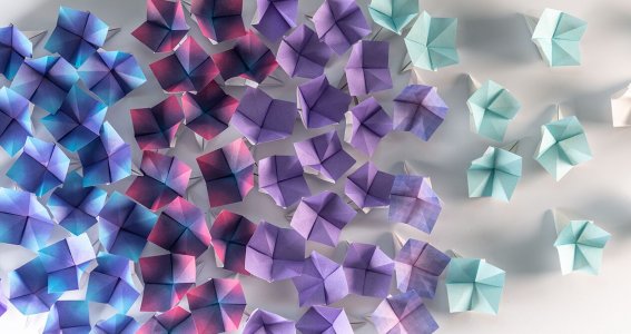 Origami Kurs: Falte Papierblume | Erwachsene | Online