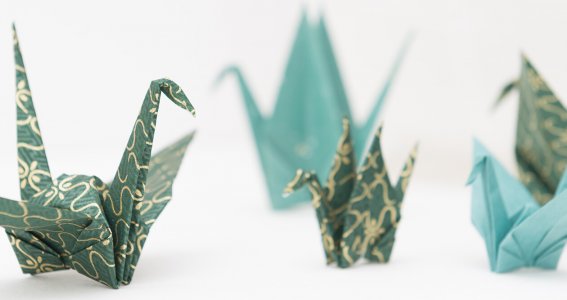 Origami Kurs: Falte Papierkraniche | Erwachsene | Online